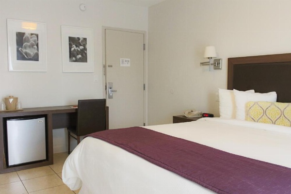 Hotel Collins image 13