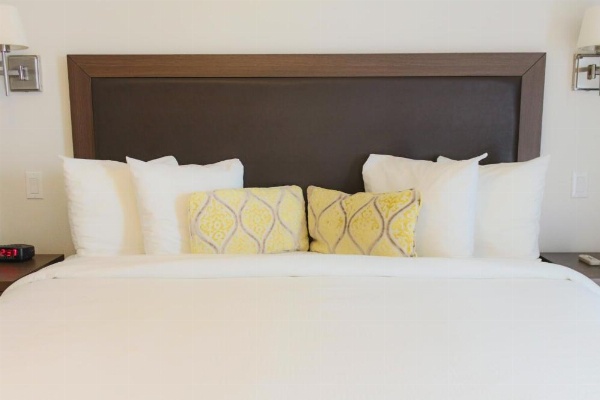 Hotel Collins image 15